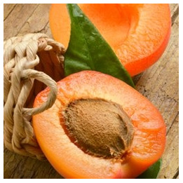 Apricot Flavor