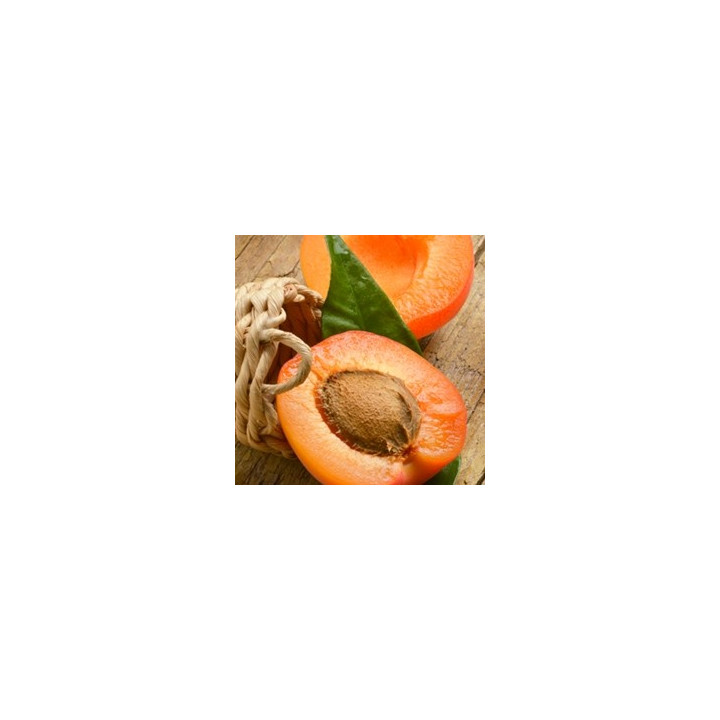 Apricot Flavor