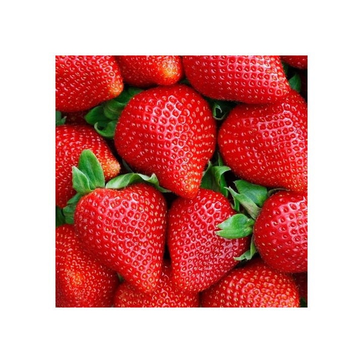TFA Sweet Strawberry 
