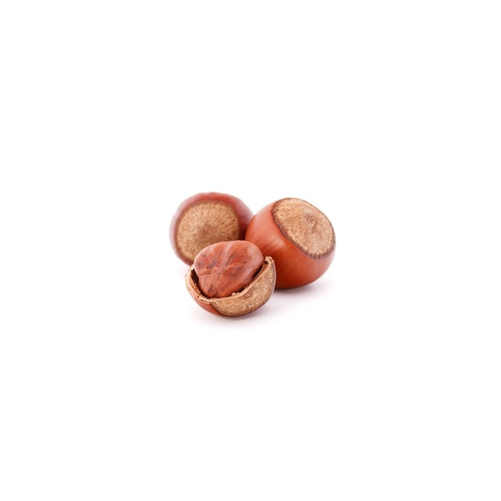Hazelnut Flavor