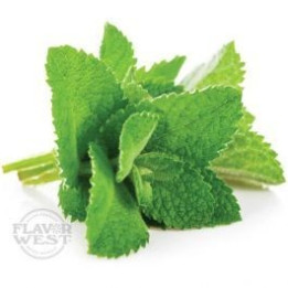 FW Spearmint 