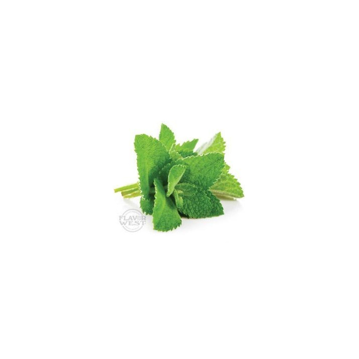FW Spearmint 
