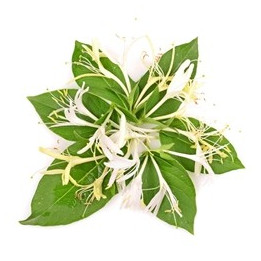 Honeysuckle Flavor (PG)