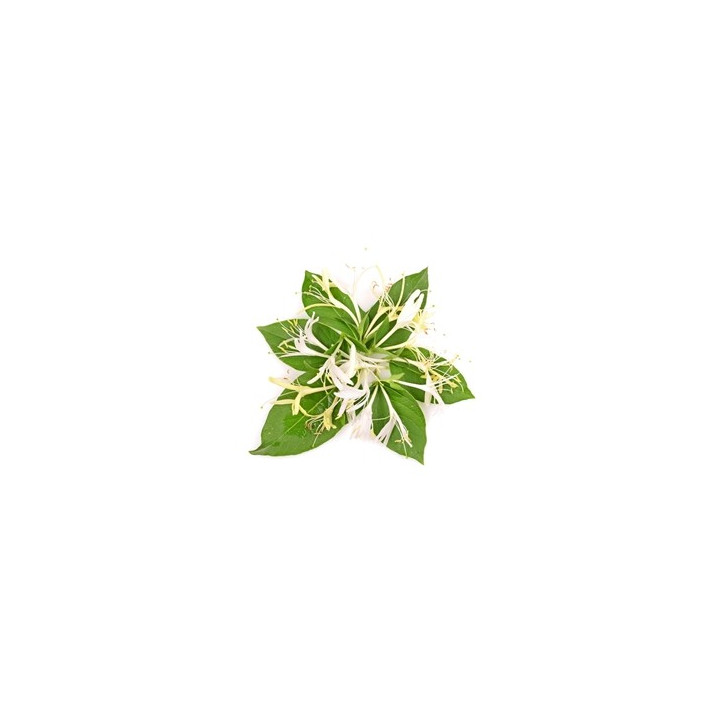 Honeysuckle Flavor (PG)