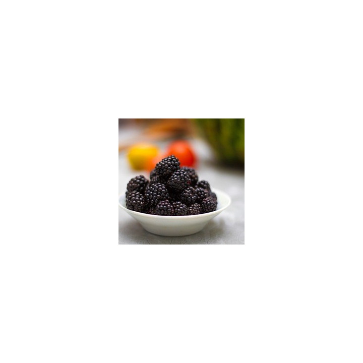 TFA Boysenberry Deluxe
