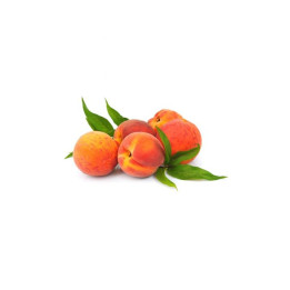 Cap Yellow Peach (CA074)