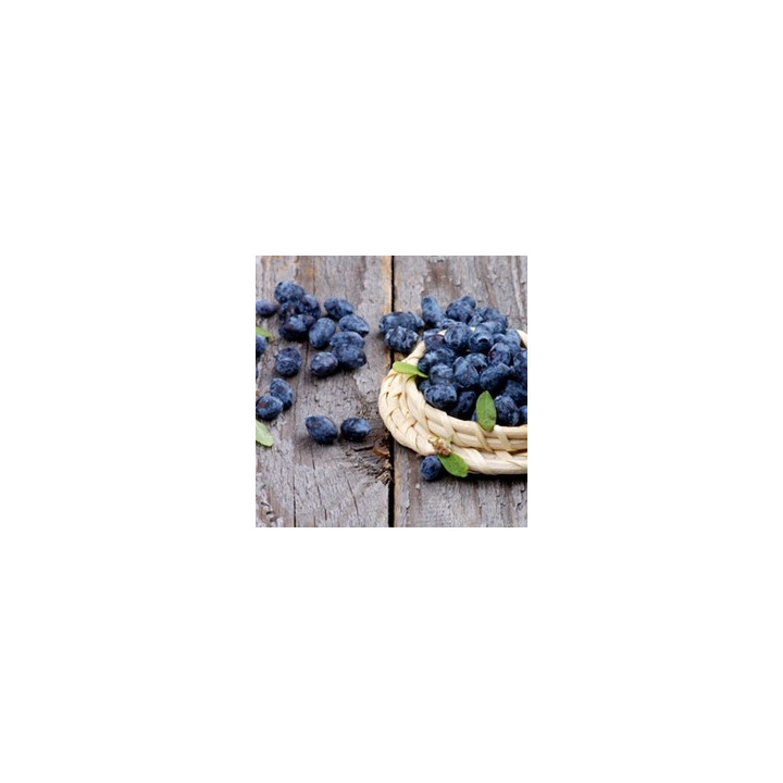 Huckleberry Flavor