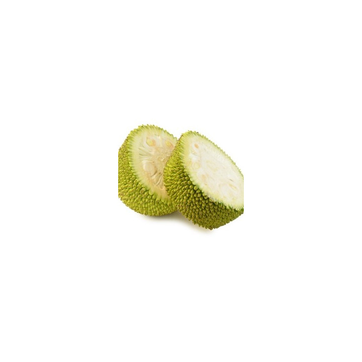 Jackfruit Flavor