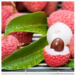 Lychee Flavor