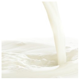 Malted Milk (Conc)