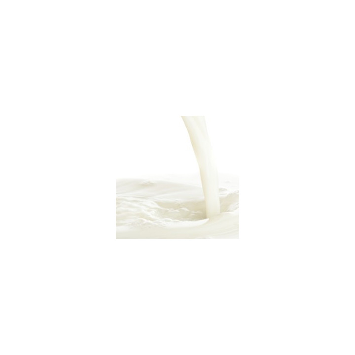 Malted Milk (Conc)