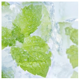 Menthol Liquid (PG)
