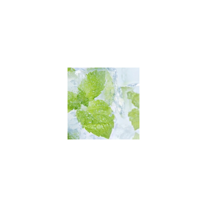 Menthol Liquid (PG)