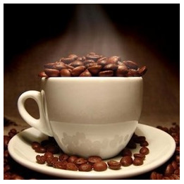 Mocha Flavor