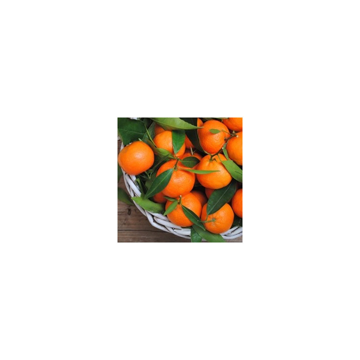 Orange Mandarin Flavor