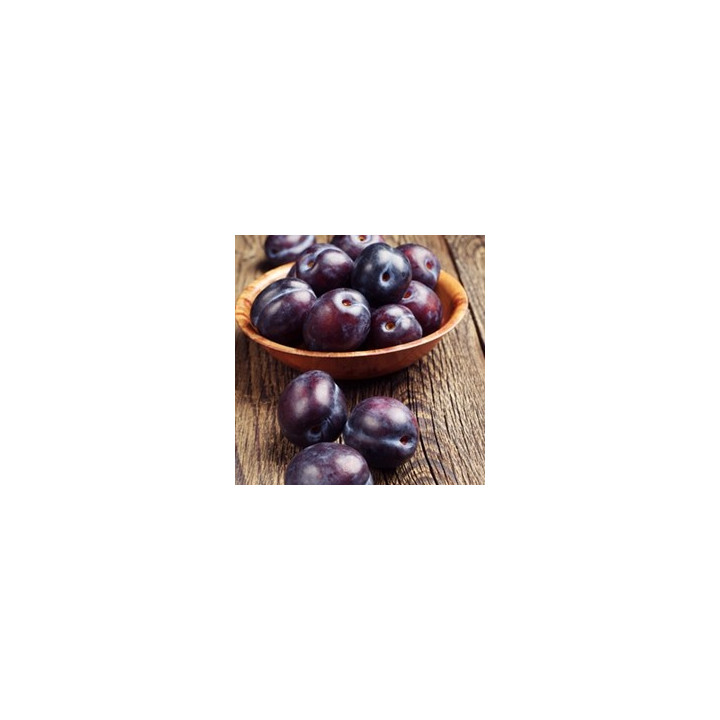 Plum Flavor (PG)