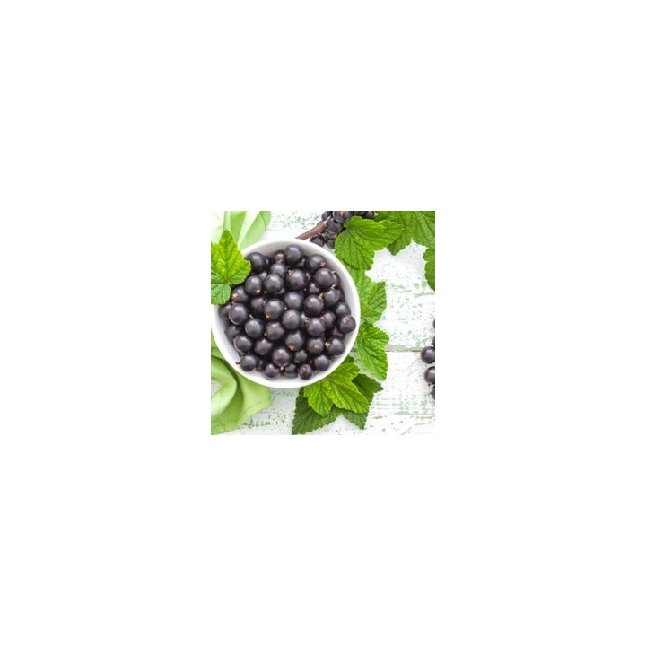 Black Currant Flavor