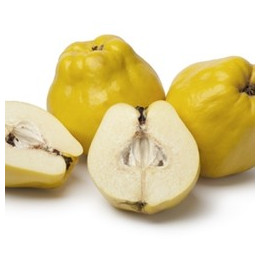 Quince Flavor
