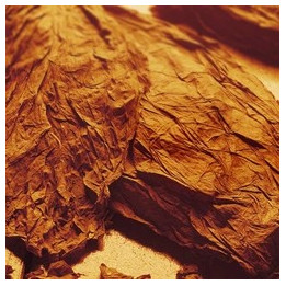 Red Type Blend