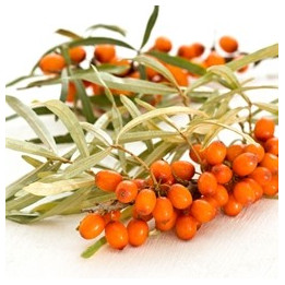 Sea Buckthorn Flavor