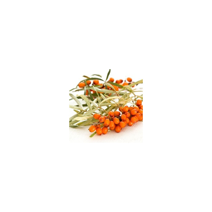 Sea Buckthorn Flavor