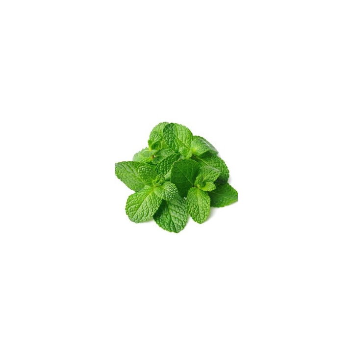 Spearmint Flavor