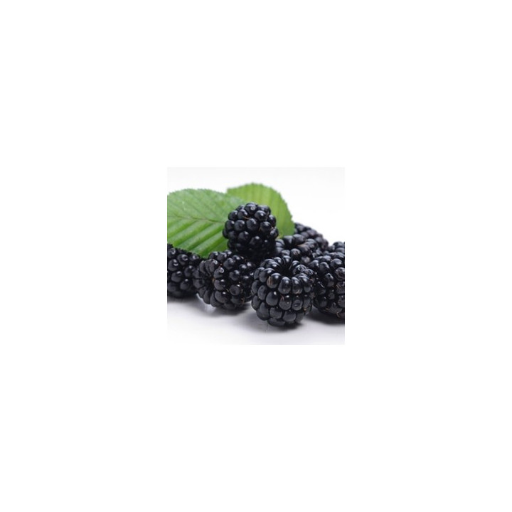 Blackberry Flavor