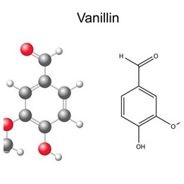 Vanillin 10 (PG)
