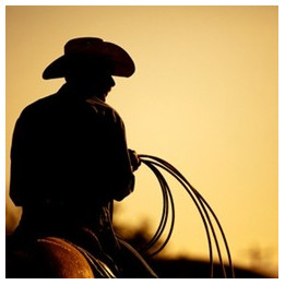 Western Flavor