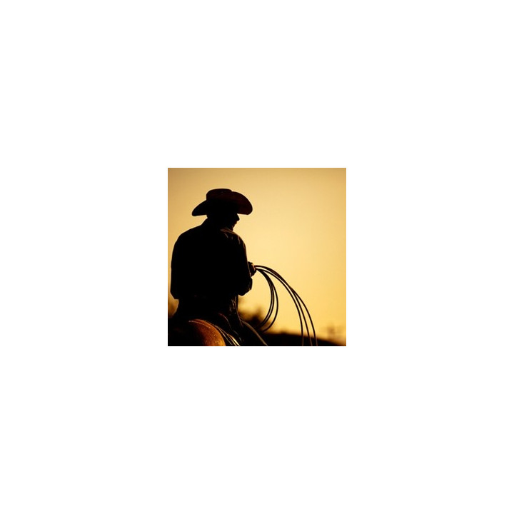 Western Flavor