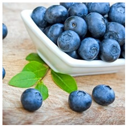 Blueberry (Wild) Flavor