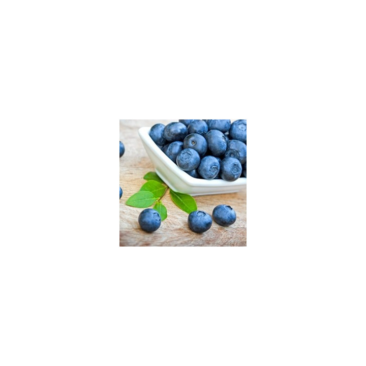 Blueberry (Wild) Flavor