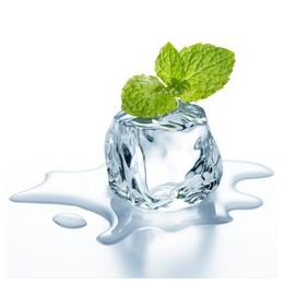 Wintergreen Flavor