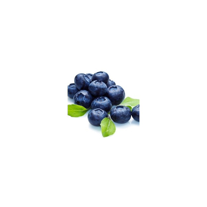 Blueberry Flavor (Extra)