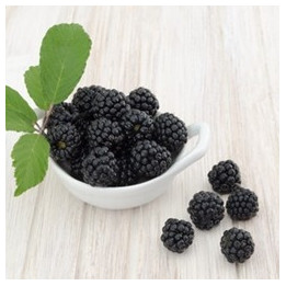Boysenberry Flavor