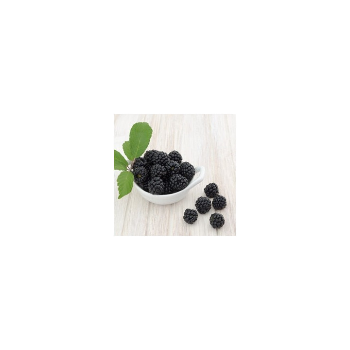 Boysenberry Flavor