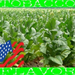 FW AMERICAN USA BLEND
