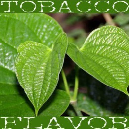 FW STAG LEAF TOBACCO