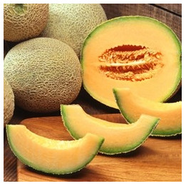 Cantaloupe Flavor