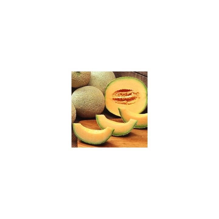 Cantaloupe Flavor