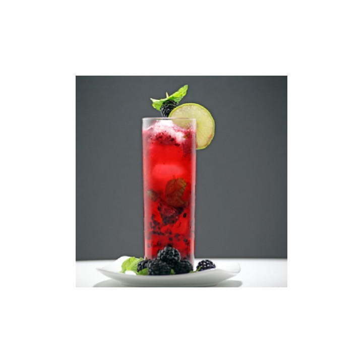 FW Blackberry Mojito