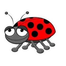 FW Beetle Juice