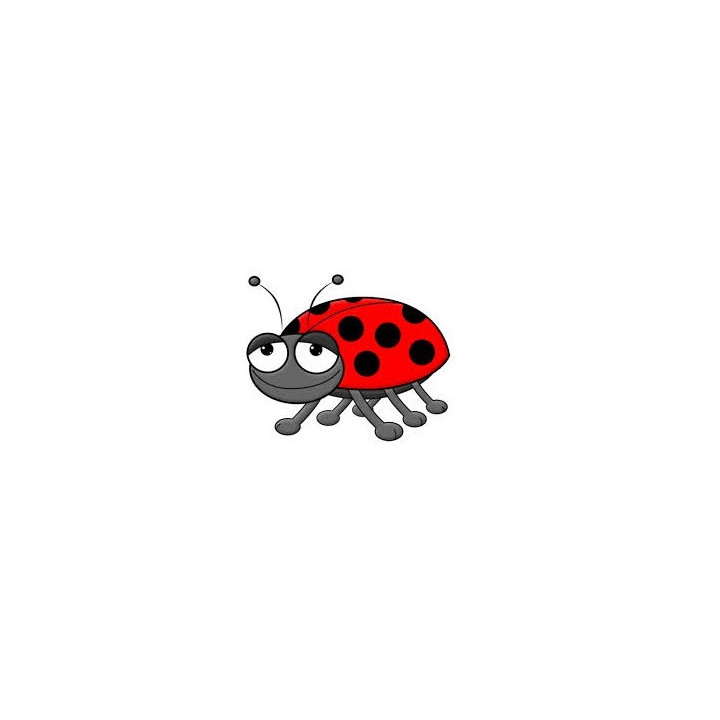 FW Beetle Juice