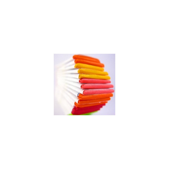 FW Rainbow Line Gum