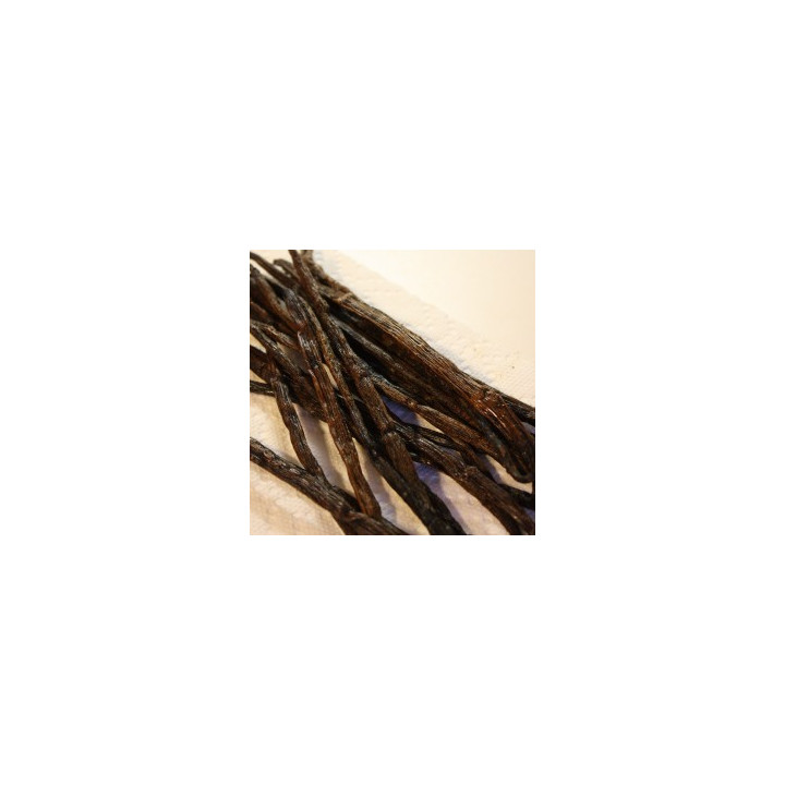 FW MADAGASCAR VANILLA (CA033)