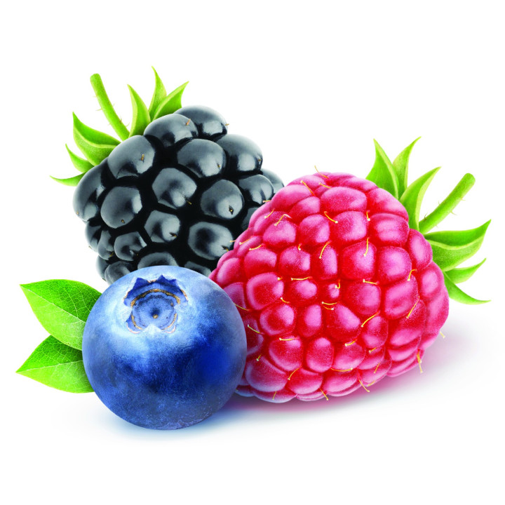 FA Forest Fruit  (FA02)