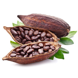 FA Cocoa (FA20)