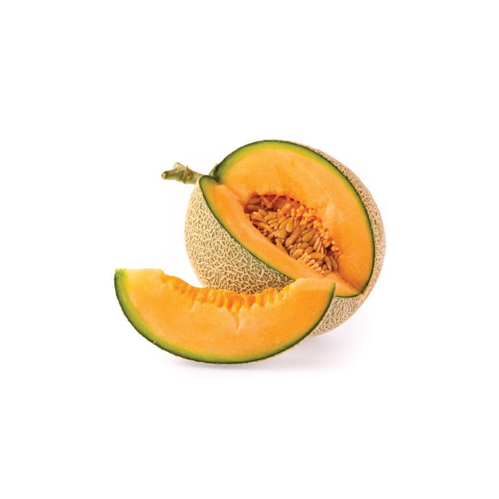 FA Melon Cantaloupe (FA24)