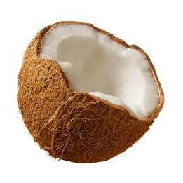 Coconut Flavor