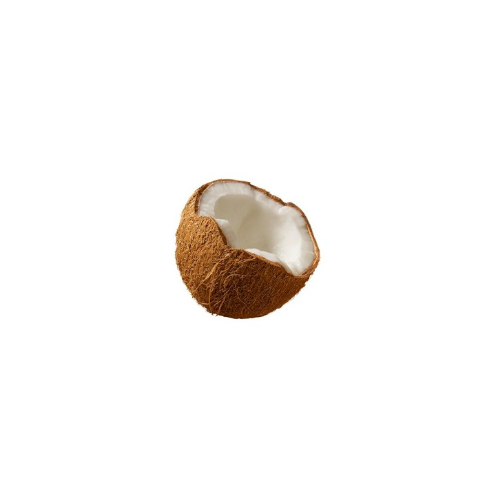 Coconut Flavor